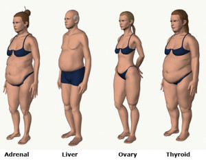 body types dr berg image