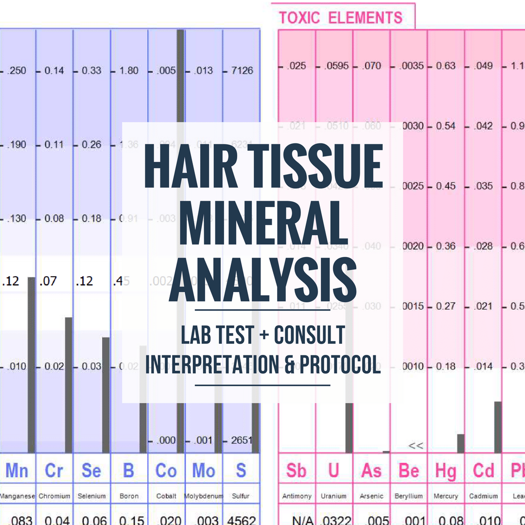 Hair Tissue Mineral Analysis Lab Test (Partnership Clients ONLY
